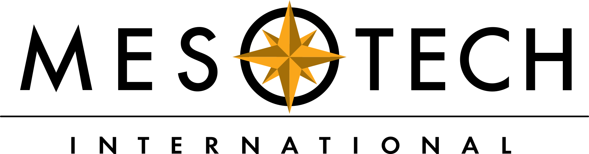 Mesotech